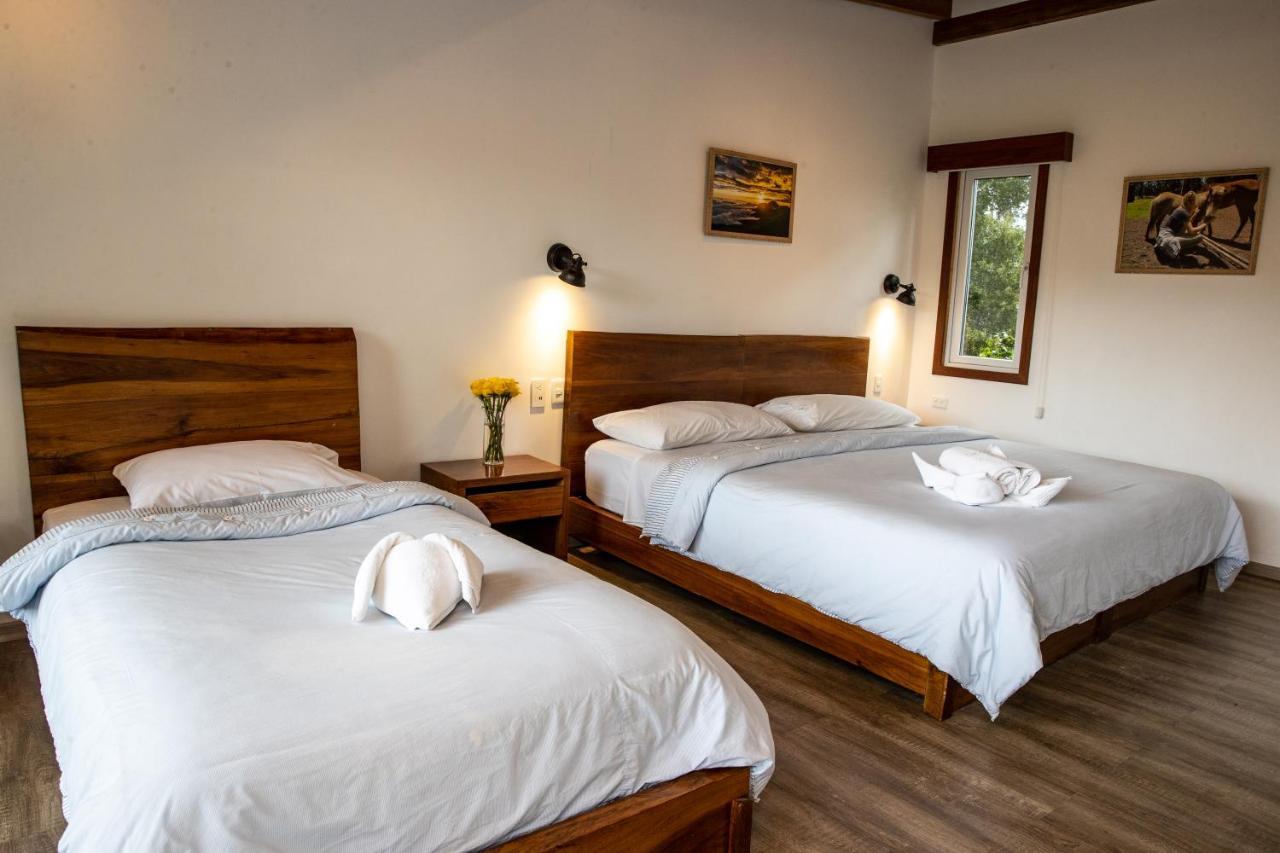 Hosteria Papagayo Cotopaxi Machachi Zewnętrze zdjęcie