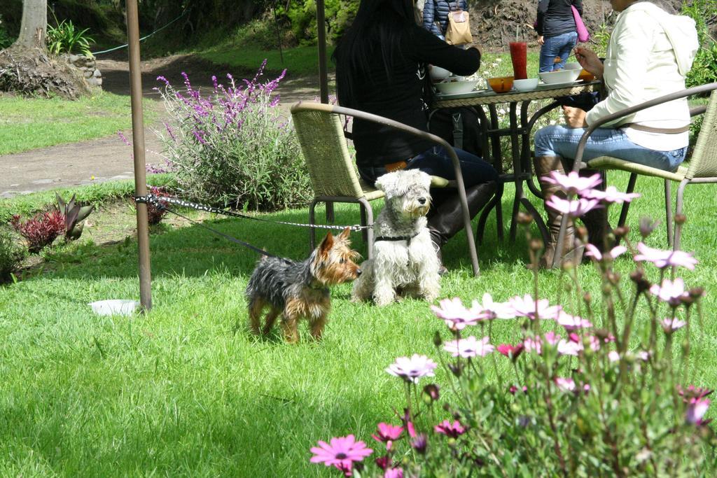 Hosteria Papagayo Cotopaxi Machachi Zewnętrze zdjęcie