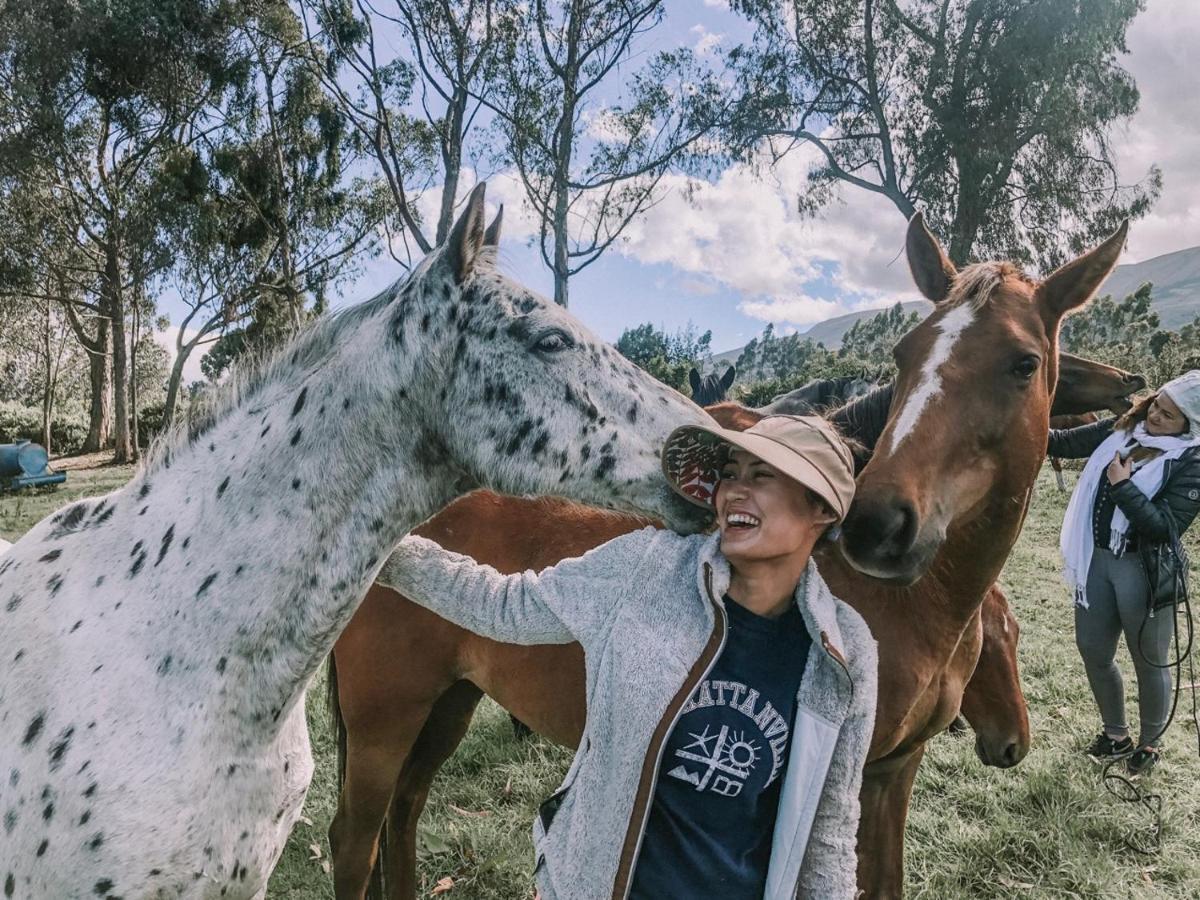 Hosteria Papagayo Cotopaxi Machachi Zewnętrze zdjęcie