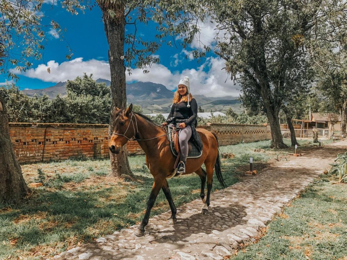 Hosteria Papagayo Cotopaxi Machachi Zewnętrze zdjęcie